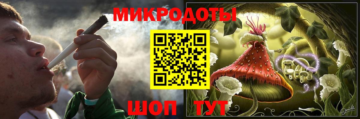 Псилоцибиновые грибы Cubensis Чернушка