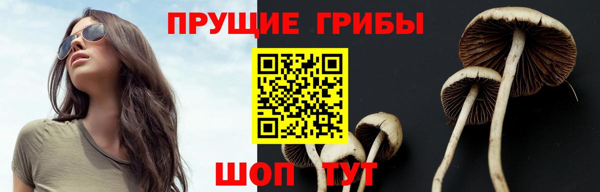 Галлюциногенные грибы Cubensis  Псилоцибиновые грибы мухоморы  Чернушка  Вход с VPN 
